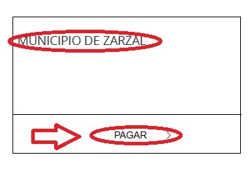 Municipo Zarzal