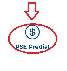 PSE Predial caicedonia