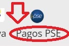 PSE Zarzal