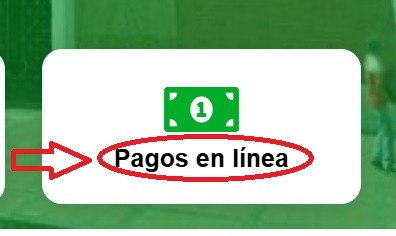Pagos en linea Roldanillo