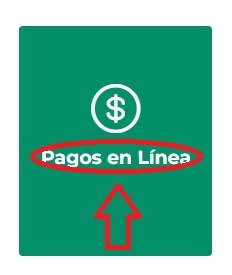 Pagos en linea Roldanillo